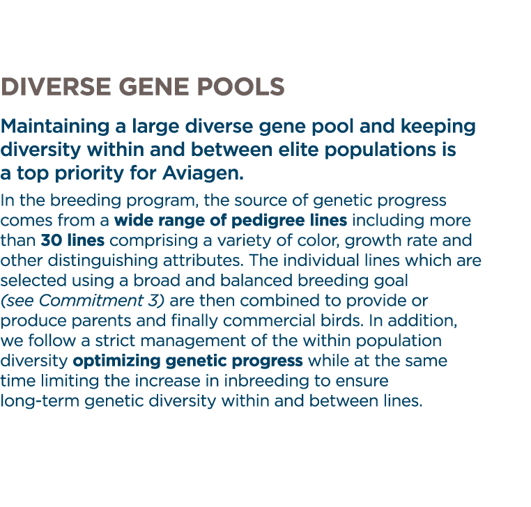 Diverse gene pools Maintaining a large diverse gene pool and keeping diversity within and between elite populations i   