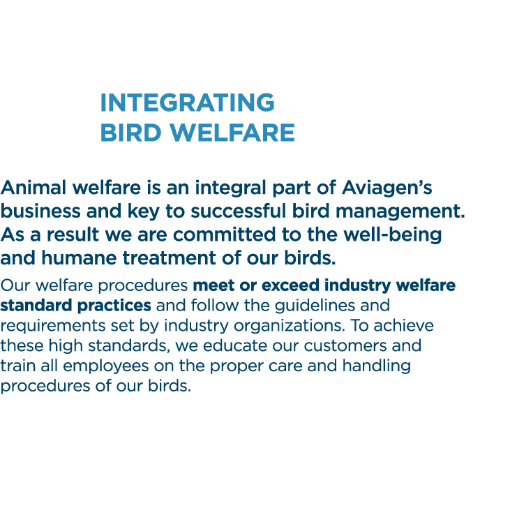 Integrating bird welfare Animal welfare is an integral part of Aviagen s business and key to successful bird manageme   