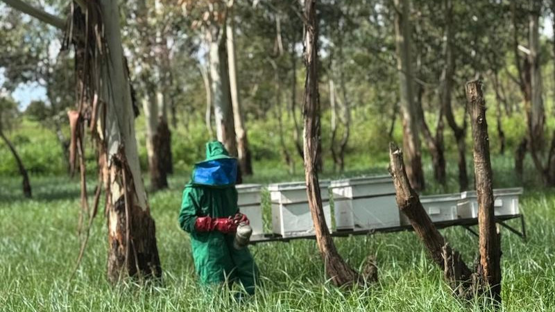 Building a greener future – Spotlight on TMEA