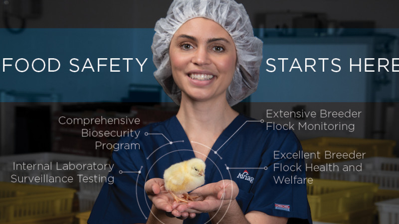 Food Safety Begins with Us