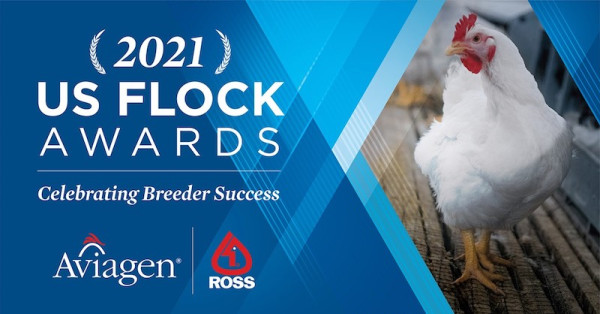 NA Flock Awards 2021
