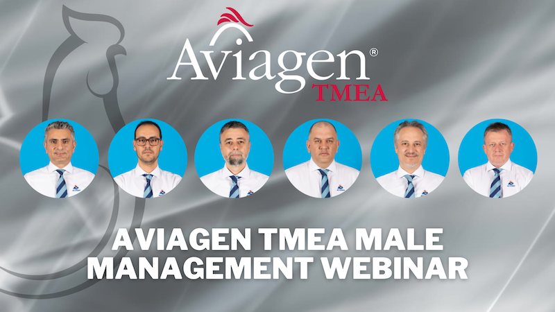 Aviagen TMEA Team Holds Male Management Webinar For Customers Throughout the Region
