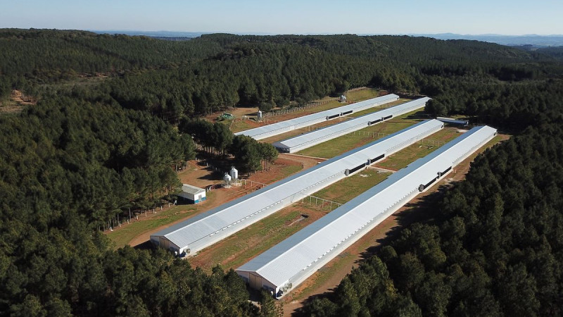 Aviagen Latin America Strengthens Service to Poultry Producers with Farm Acquisition in Santa Catarina, Brazil