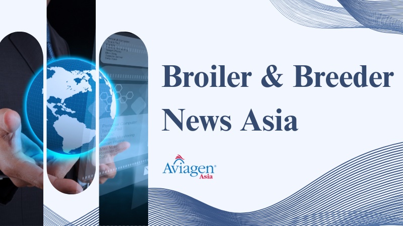 Broiler & Breeder News Asia 26 Nov – 2 Dec 2025