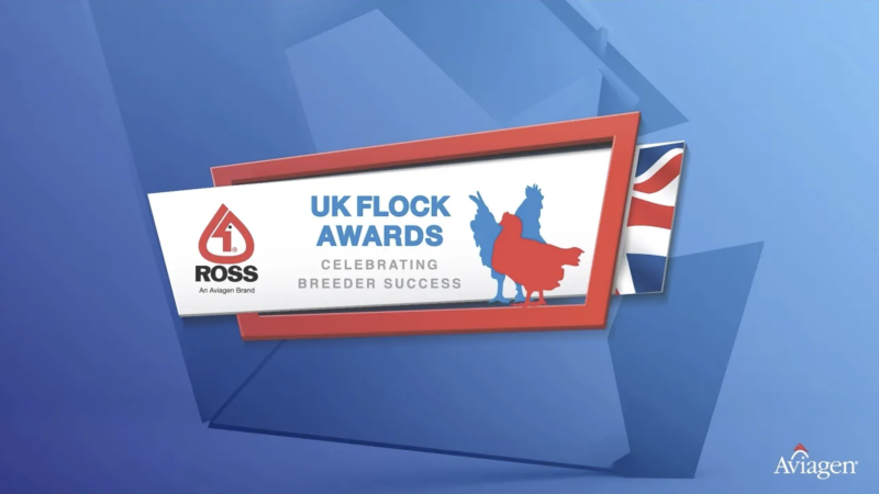 2020 UK Ross Flock Awards:  Stuart Thomson