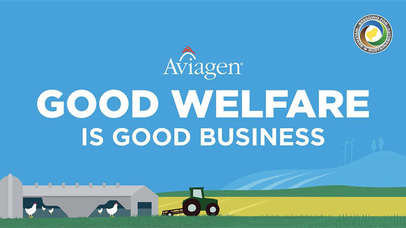 Good Welfare is Good Business
